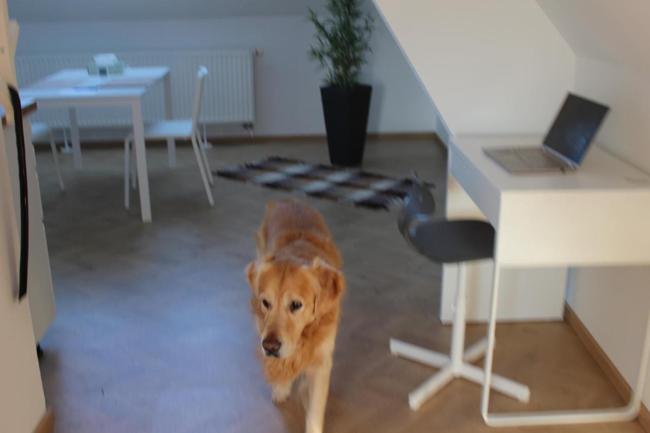 Haus Semmi Διαμέρισμα Fuerstenfeld Εξωτερικό φωτογραφία